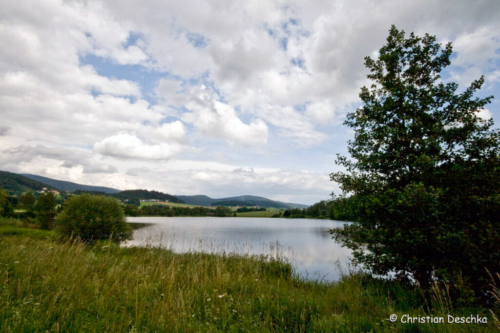 001_Fisch-und-Wasserpflanzenweg
