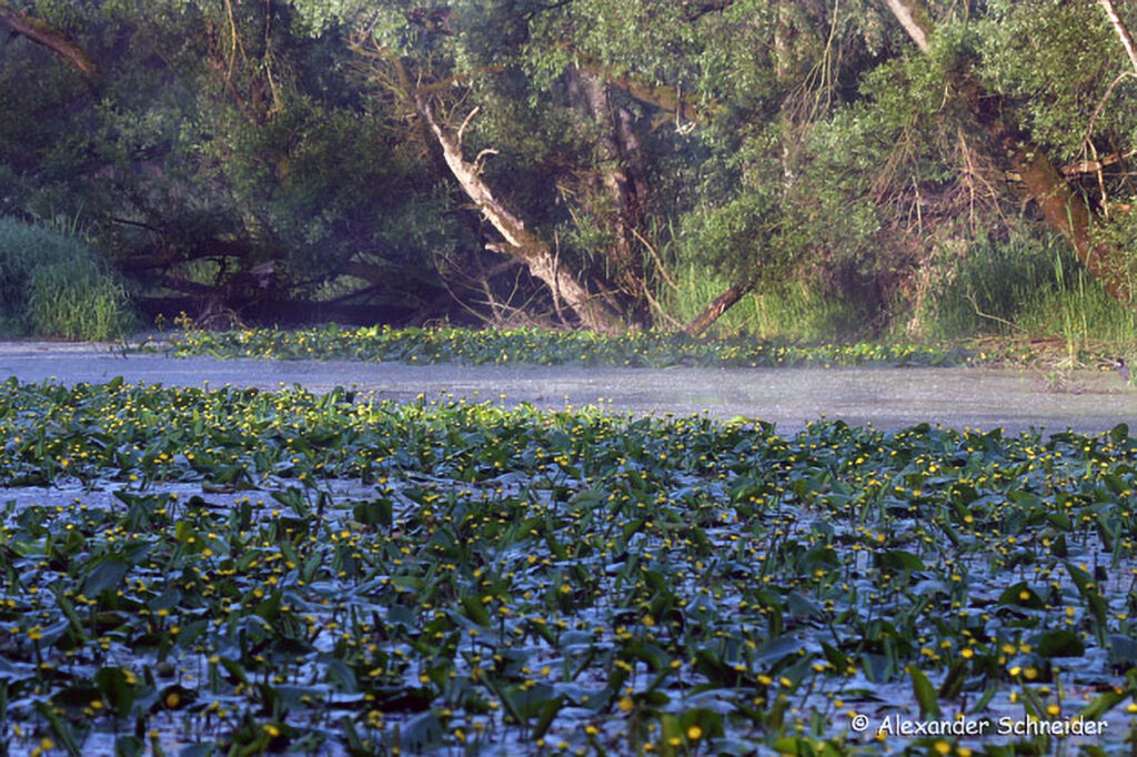 002_Naturinfozentrum-Saxen