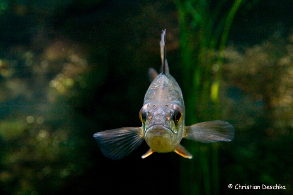 002_Unterwasserreich