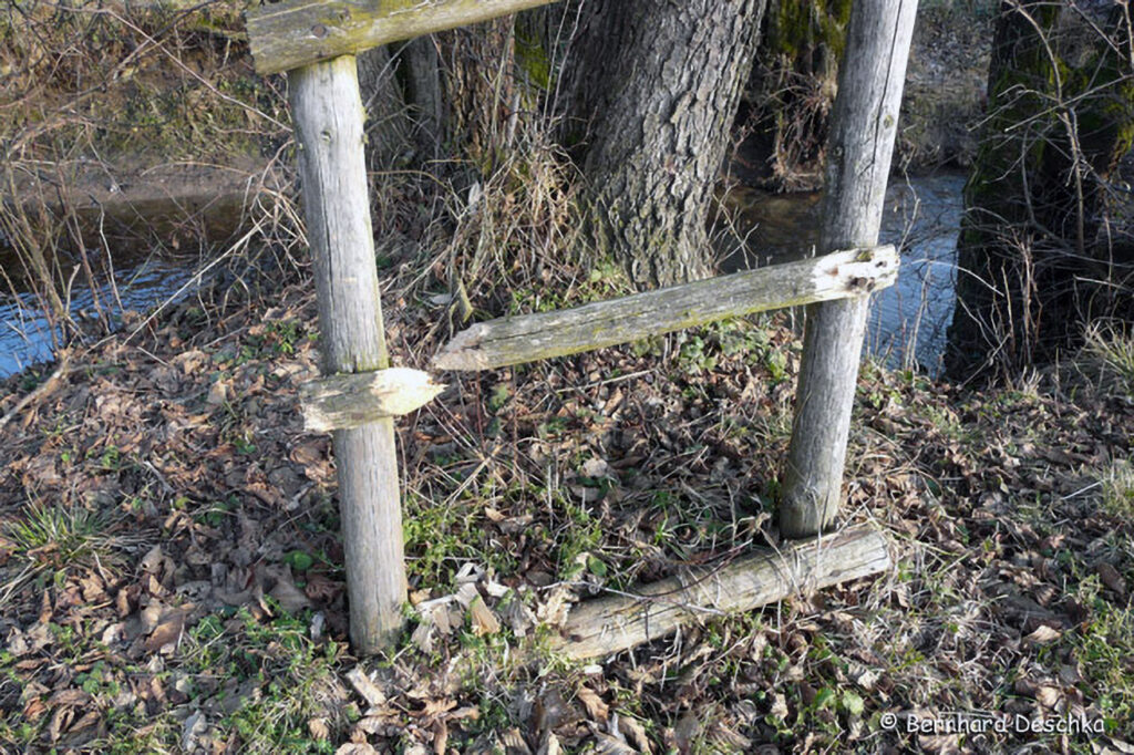 003_Tierspuren-im-Schnee