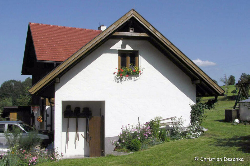 005_Mauerseglerprojekt