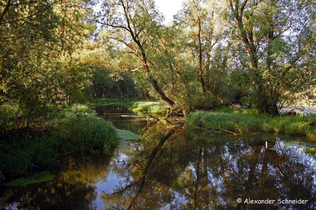 005_Naturinfozentrum-Saxen