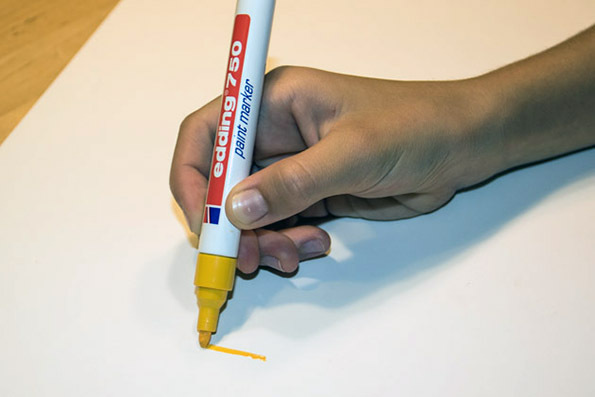 006_Feuersalamandermodell