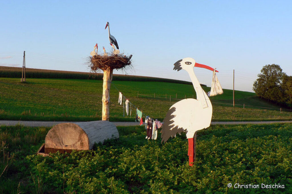 006_Voegel-an-Gebaeuden