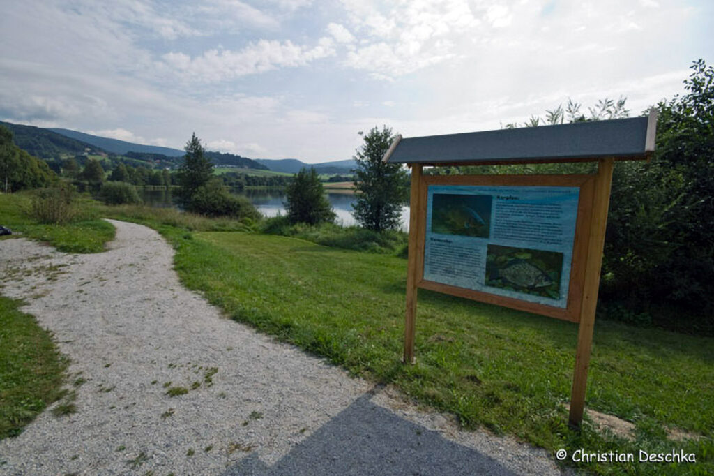 007_Fisch-und-Wasserpflanzenweg