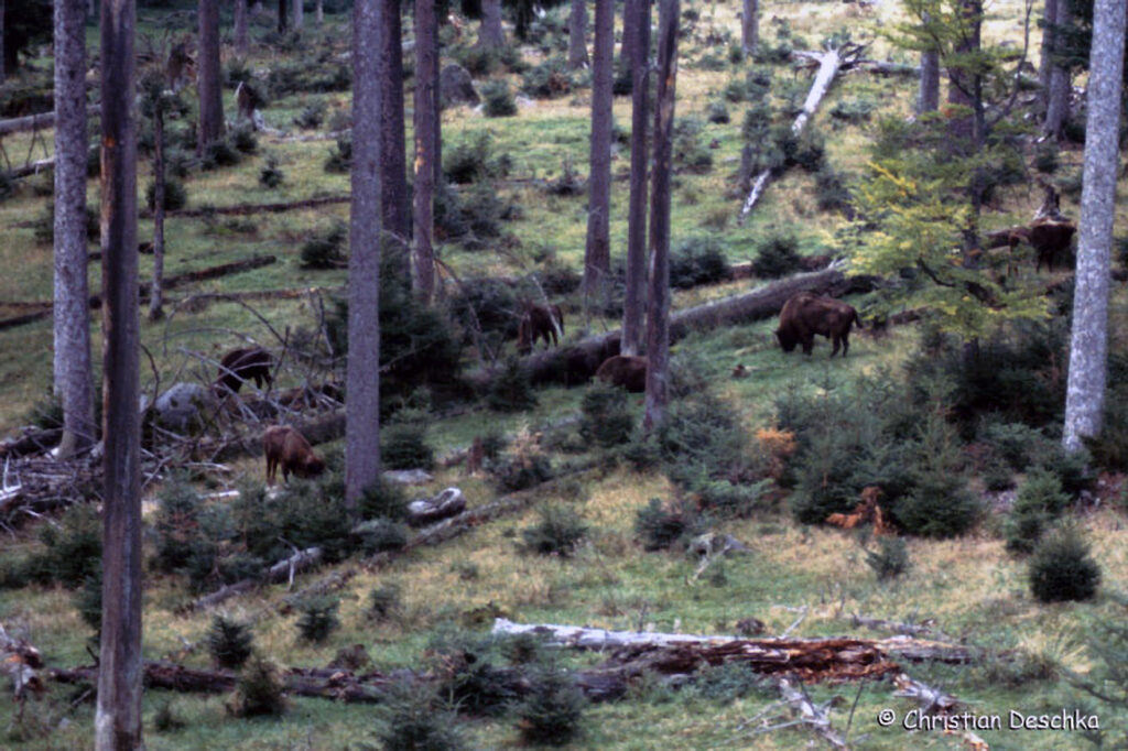 007_Kulturlandschaft