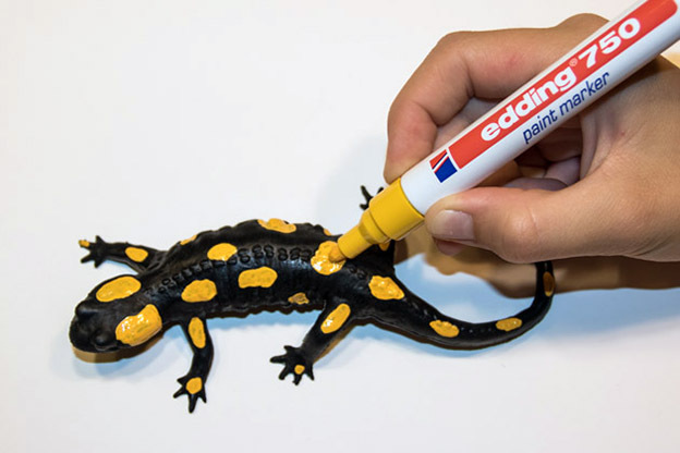 008_Feuersalamandermodell