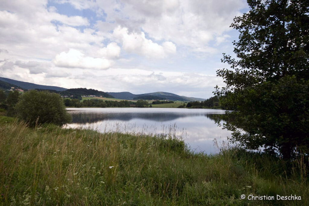 009_Fisch-und-Wasserpflanzenweg