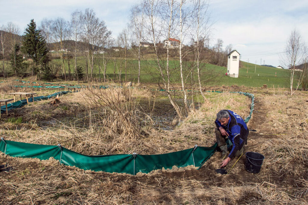 013_Umfahrung-Peilstein