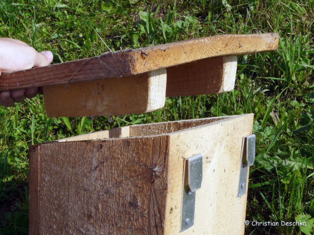 015_Mauerseglerprojekt