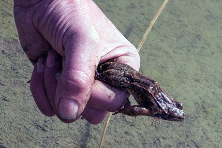 015_Umfahrung-Peilstein