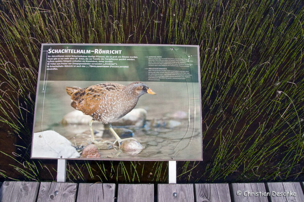 015_Unterwasserreich