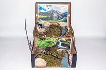 016_Alpensalamandermodell