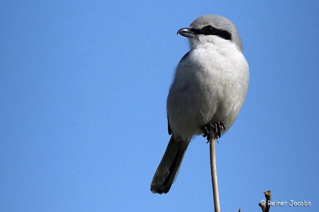 018_Landschaftsschutzgebiet-Oedenkirchen