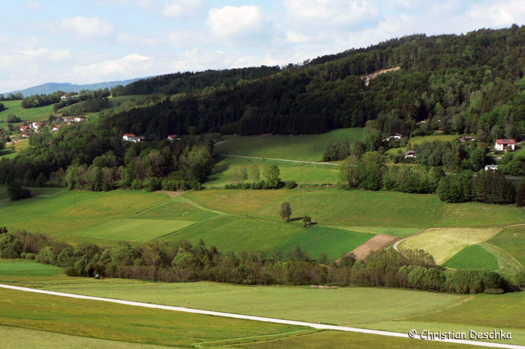 020_Amphibienprojekt