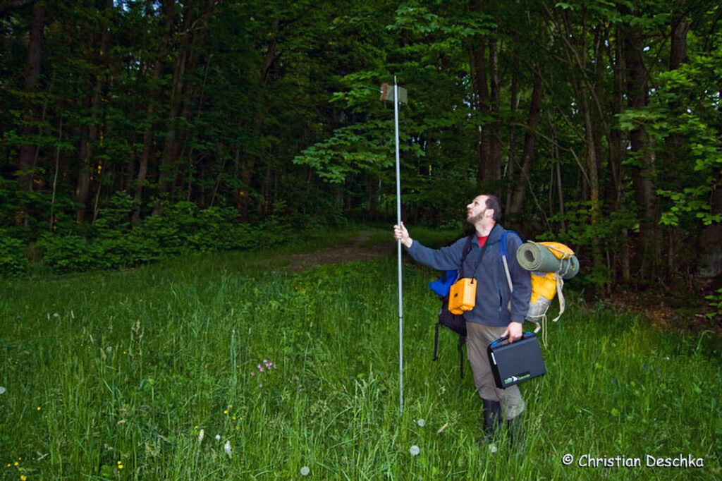 024_Fledermausprojekt