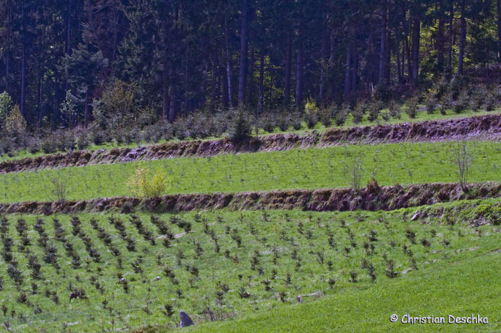 025_Landschaftsschutzgebiet-Oedenkirchen