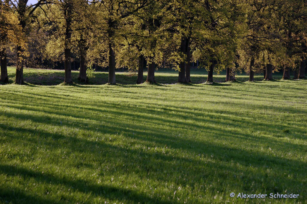 025_Naturinfozentrum-Saxen