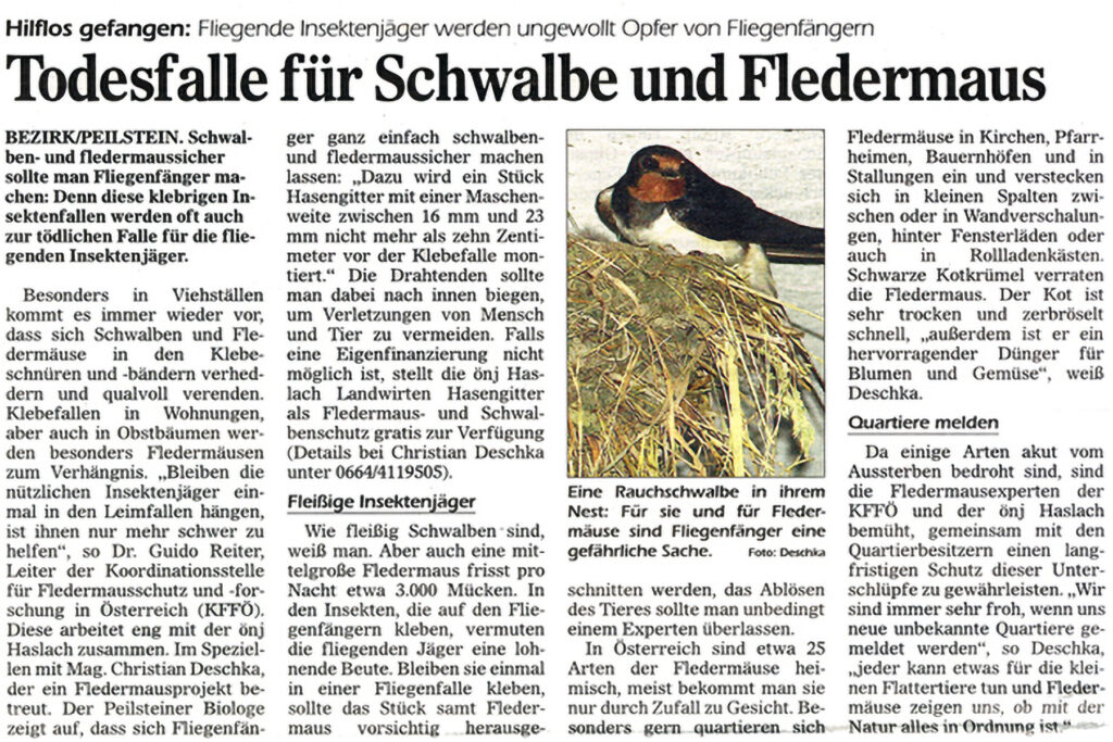 027_Fledermausprojekt