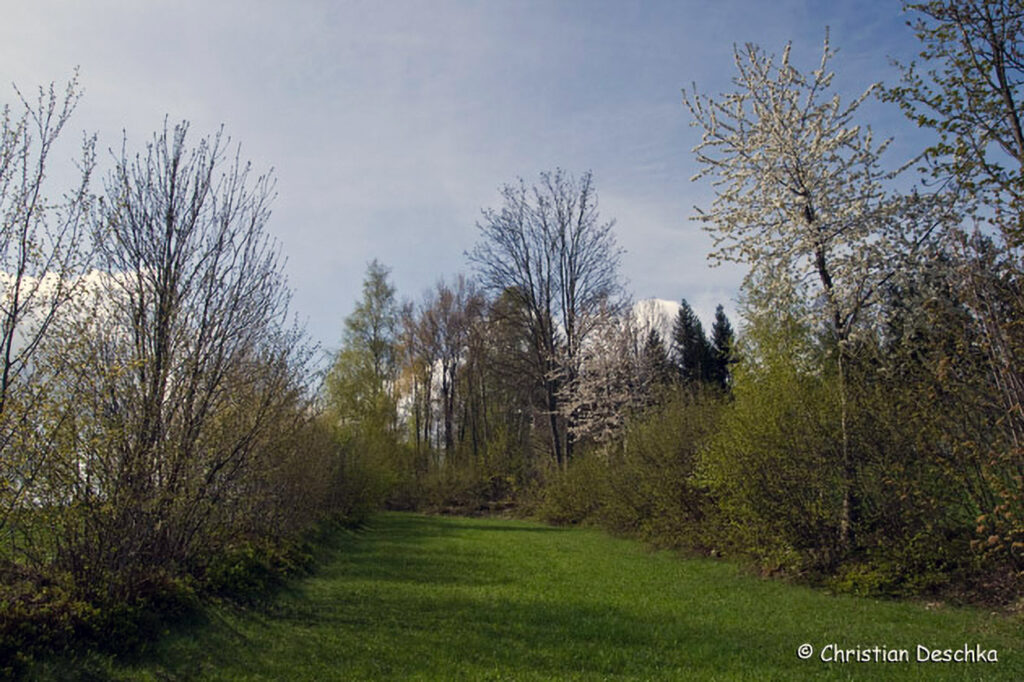 027_Landschaftsschutzgebiet-Oedenkirchen