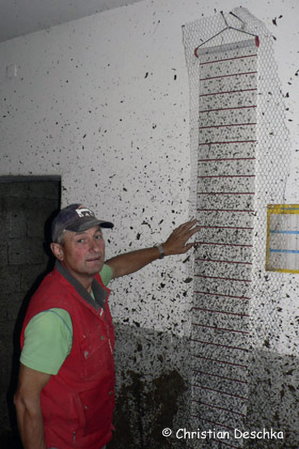 028_Fledermausprojekt