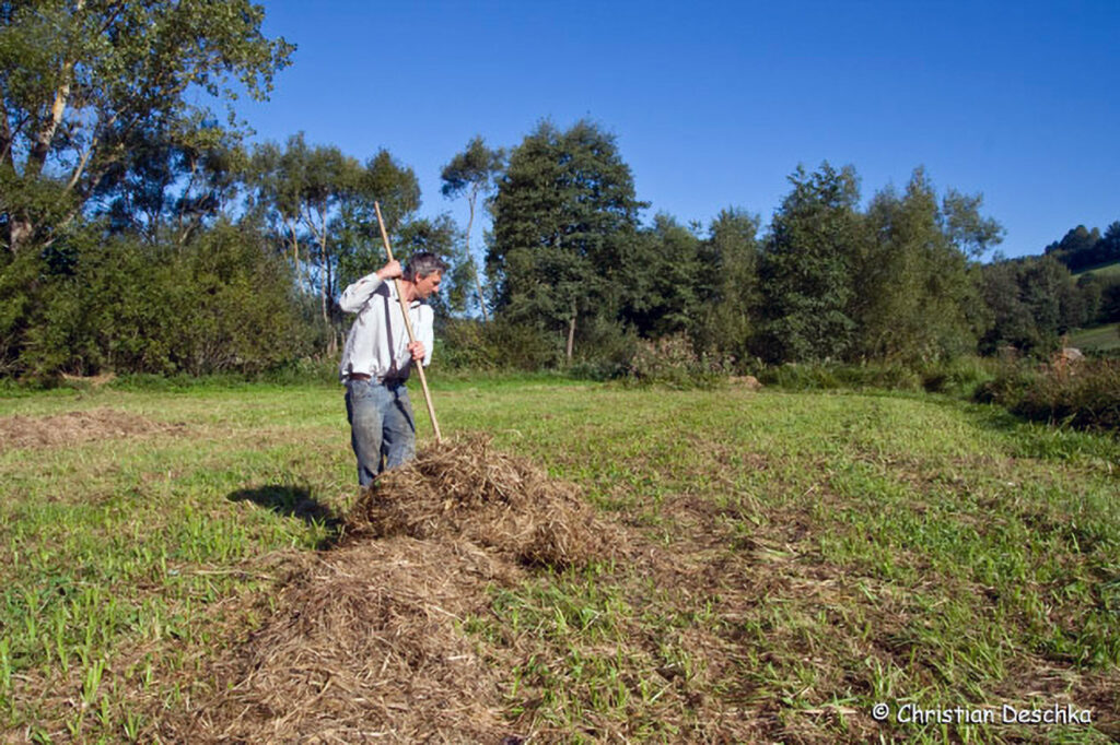 029_Amphibienprojekt