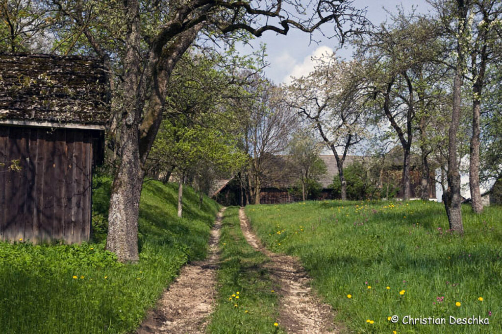 029_Kulturlandschaft