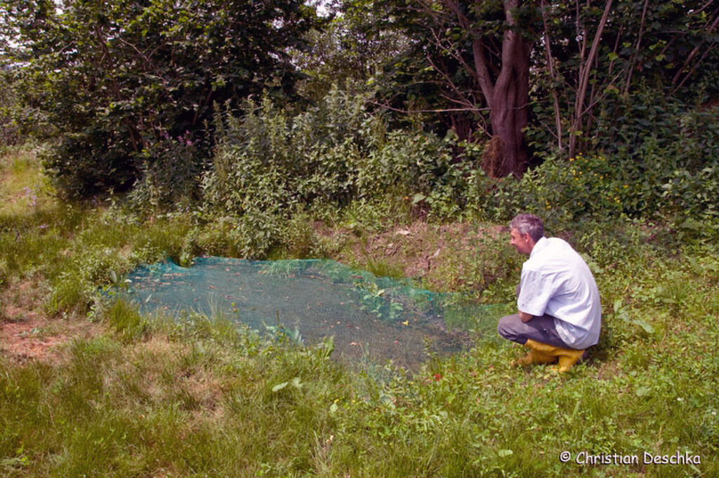 036_Amphibienprojekt