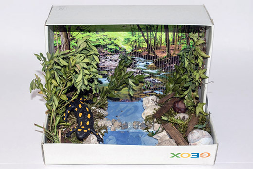 036_Feuersalamandermodell