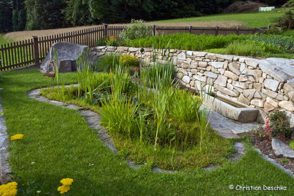 042_Amphibienprojekt