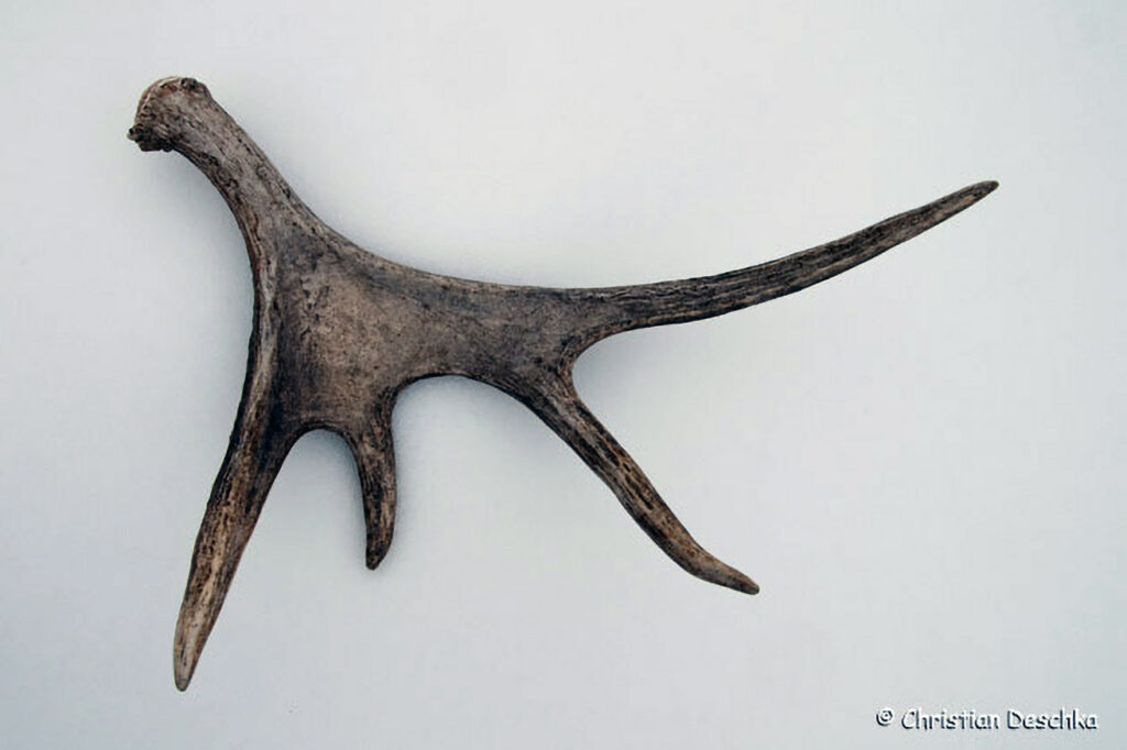 043_Tierspuren-im-Schnee