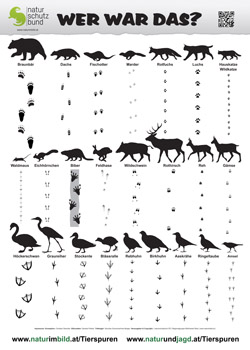 Tierspuren- und Trittisegelbestimmungsblatt A4